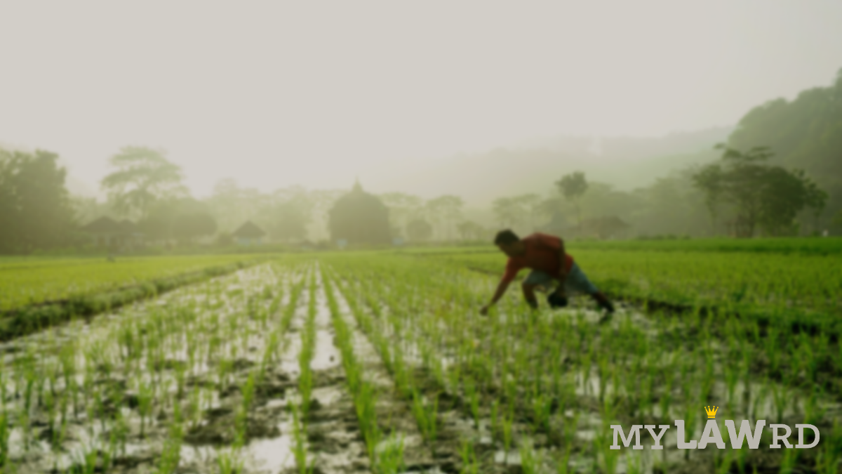 Agri stack for farmers